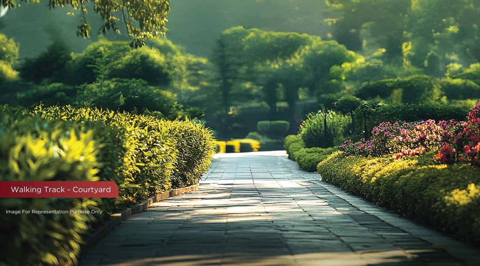 Vida-Crest-walking-track